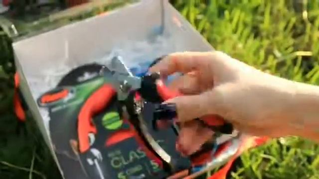 Dogs.box авторские товары для собак. Flexi смотреть онлайн