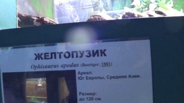 Роев Ручей  Красноярск
