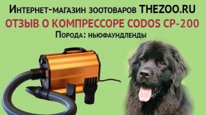 Отзыв: Ольга Ковалёва, Codos CP 200, порода - ньюфаундленды