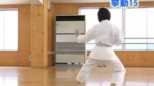 ОБУЧАЮЩИЕ ВИДЕО. КАТА ХЕЙАН НИДАН. JKS