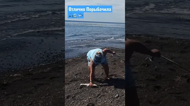 Горбуша на Тасманского Дьявола ??