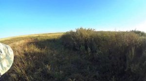 Охота на косулю  ИЖ 58  16 кл   25.08.22