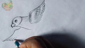 How to draw a flying parrot easily/RK Art's(Raja)