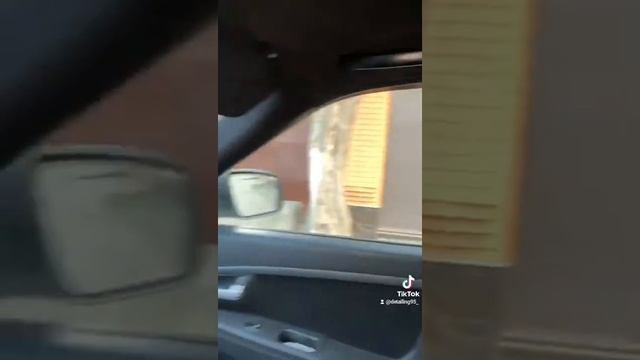 перетяжка потолка, стойки, козырки алькантарой Приора