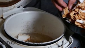 Самый странный гриб. Каков на вкус рогатик?