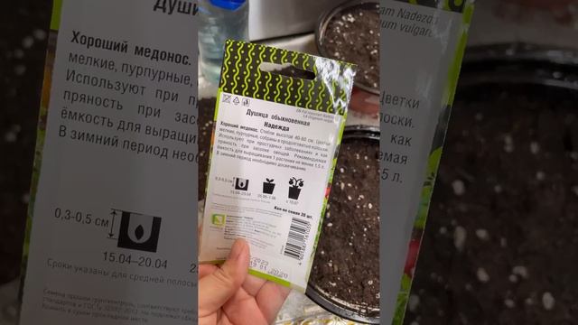 Сею пряные травы