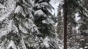 Зимняя Аляска.