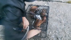 Ловля краба в Норвегии.