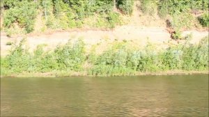Наш круиз по рекам Белой, Каме и Волге на т/х "Башкортстан". Часть вторая.