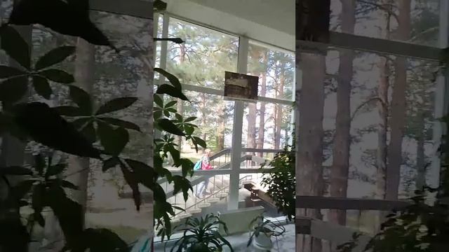 ?? Курорт Усть-Качка, AMAKS. Пермский Край. 13.08.2022 смотреть онлайн