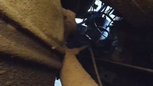 Замена приемной трубы на автомобиле Газель - Бизнес с ДВС УМЗ 4216.