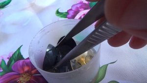 Как размягчить присоски в аквариуме? Пробую Димексид, поможет или нет?