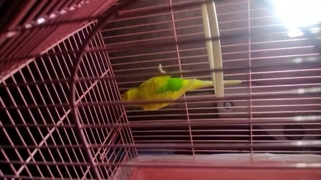 26 октября 2023 г. смотреть онлайн