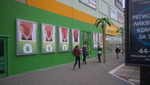 Живая стена ТРЦ Мадагаскар, г. Тольятти