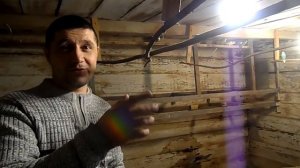 Покупка попугаев для разведения.