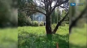 В деревне Тульской области задымилась трансформаторная будка