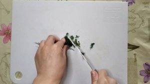 Соус тартар сметанный с огурцами