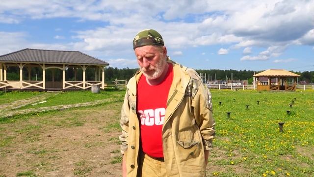 Арабский скакун Минэк, окрас сметанка-в-гречку. Рассказ об арабских лошадях смотреть онлайн