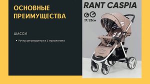 Коляска прогулочная Rant Caspia Trends
