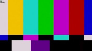 Нарезки из видео а4 24 чеса в лесу отредактировано в cap cut