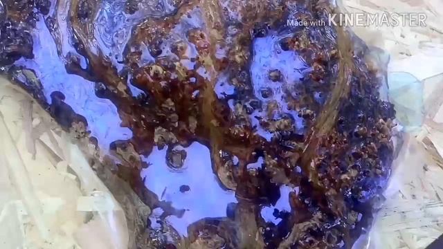 Декоративная ваза из капа карагача. смотреть онлайн