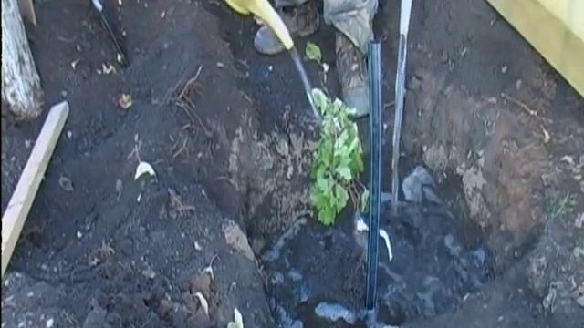 Посадка Винограда смотреть онлайн