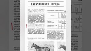 После депортации карачаевцев в 1943 году, карачаевскую породу лошадей записали кабардинскими