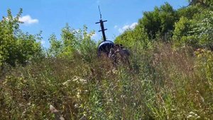 Станция Паниковка, Золотая Ветка, Озерище (Брянская область, Почепский р-н)