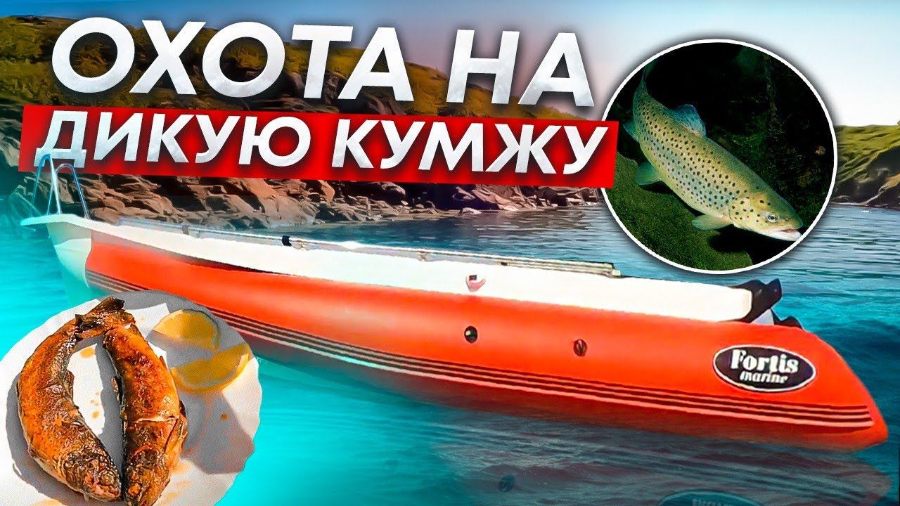 #fortis 460z Охота на дикую Кумжу