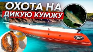 #fortis 460z Охота на дикую Кумжу