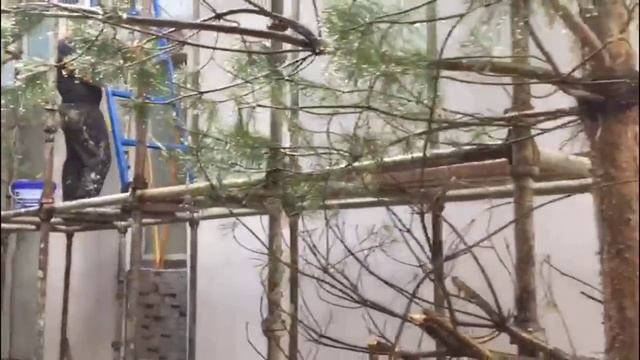 Сити Строй строительство - Орел Гарден