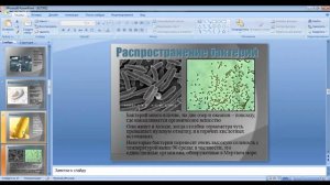 Биология 7 класс 3-4 неделя Общая характеристика прокариот. Строение бактериальной клетки