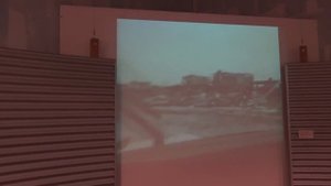 Крокодилы в Дарвине Австралия