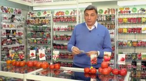 31.Крупноплодные томаты для теплиц