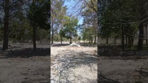 Заброшенный советский пионерский лагерь в Казахстане