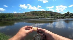 Рыбалка на Северском Донце.Возле села Закотное.