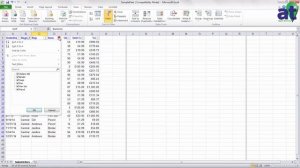 How to filter data using Microsoft Excel 2010