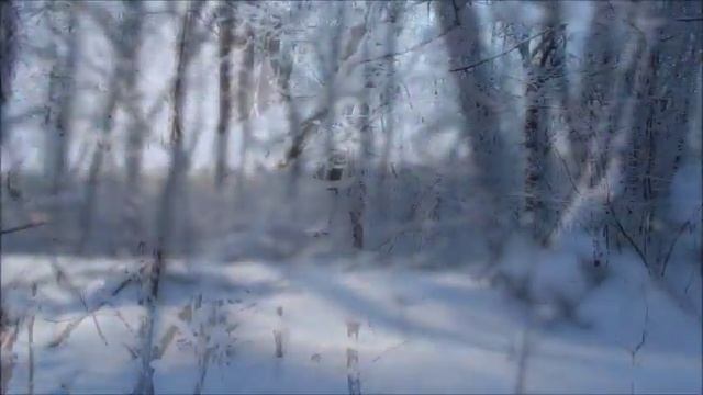 Красивый зимний день. Бая Че Доктор Натуропатии