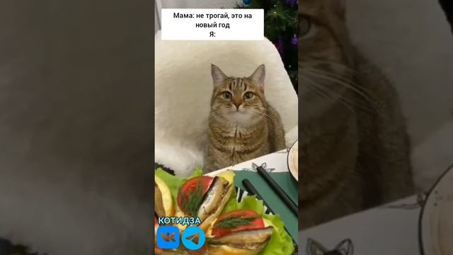 Когда мама накрыла стол