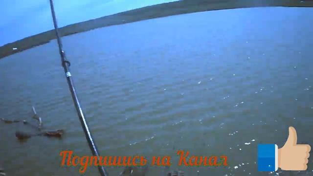 #Карповая_Рыбалка#на_платнике#2019#Ставропольский Край
