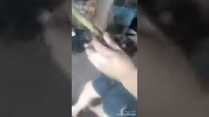 Замена сцепления+сальник коленвала мондео 4 1.6