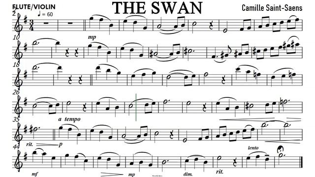 The Swan Flute Violin Sheet Music Backing Track Partitura Le Cygne  Camille Saint Saëns смотреть онлайн