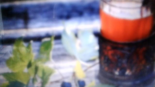 Лист смородины: полезные свойства и  противопоказания. смотреть онлайн