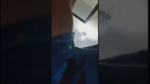 Кишечный фонк