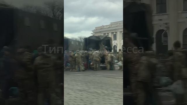 "Жрецы Аида" так называют повестчиков в Одессе.