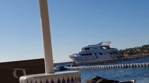 ВЛОГ : Domina Coral Bay El Sultan 5*/Отличный Пляж и Пантон/Египет,Шарм-эль-Шейх