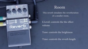 Boss RV-6 Reverb Demo (Including Expression Function.)