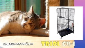 Клетки для кошек  Триол С4-1