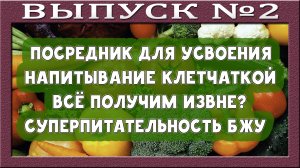 Усвоение микроэлементов. Ценность растительной клетчатки. Что получаем извне? БЖУ.