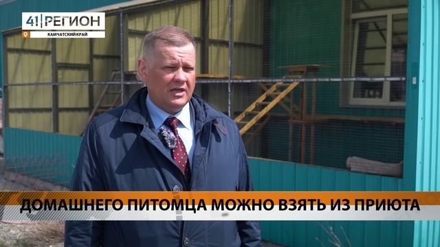 ДОМАШНЕГО ПИТОМЦА МОЖНО ВЗЯТЬ ИЗ ПРИЮТА • НОВОСТИ КАМЧАТКИ